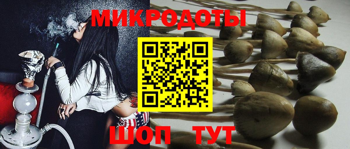 Тимашёвск  Галлюциногенные грибы Psilocybe  Вход с VPN  где можно купить   Галлюциногенные грибы GOLDEN TEACHER 