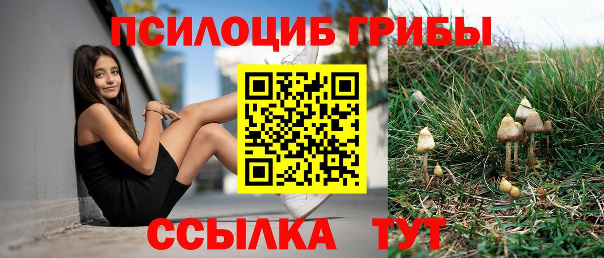 Марихуана Тимашёвск